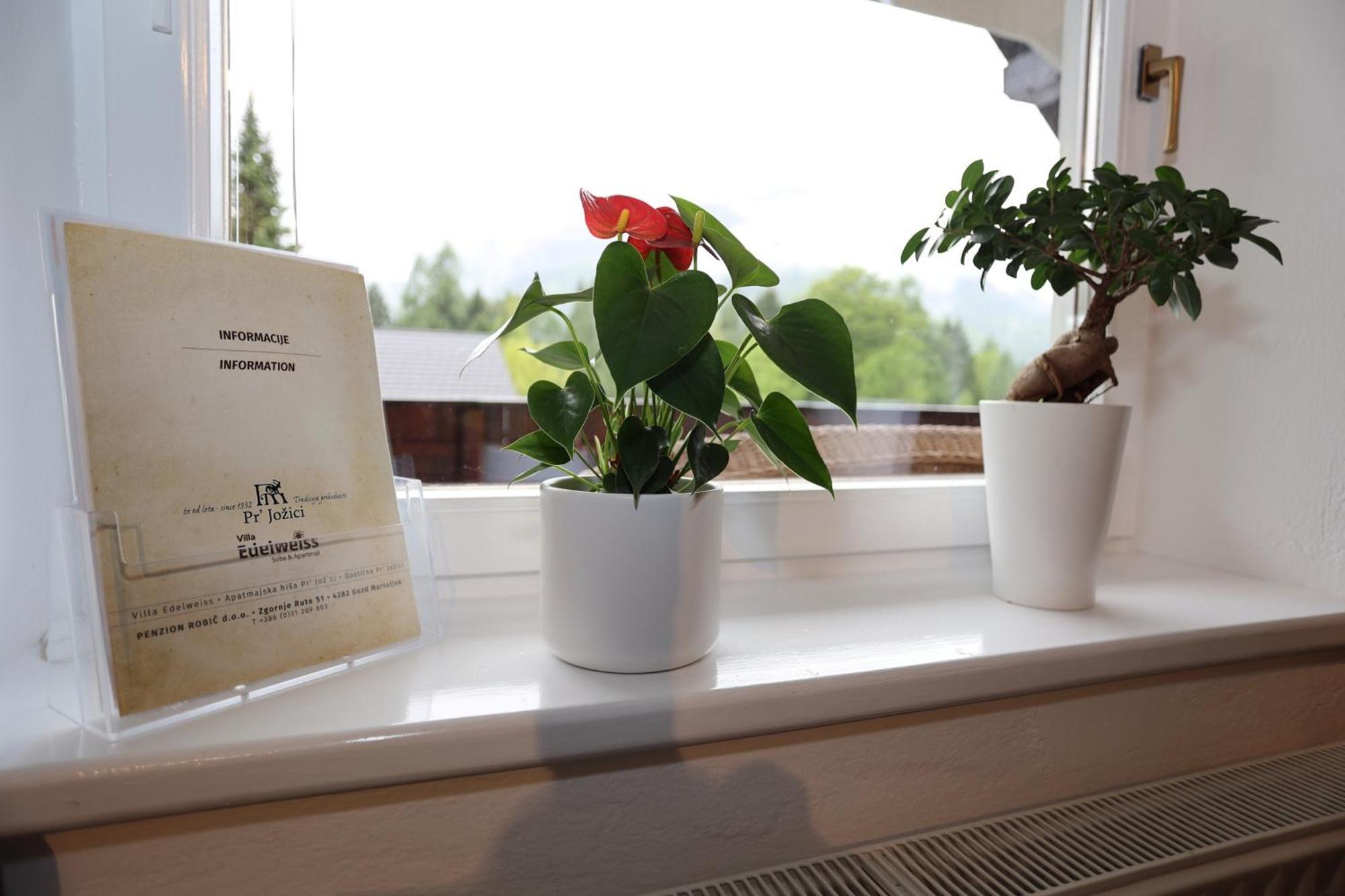 Vila Edelweiss Rooms&App Kranjska Gora Exterior photo